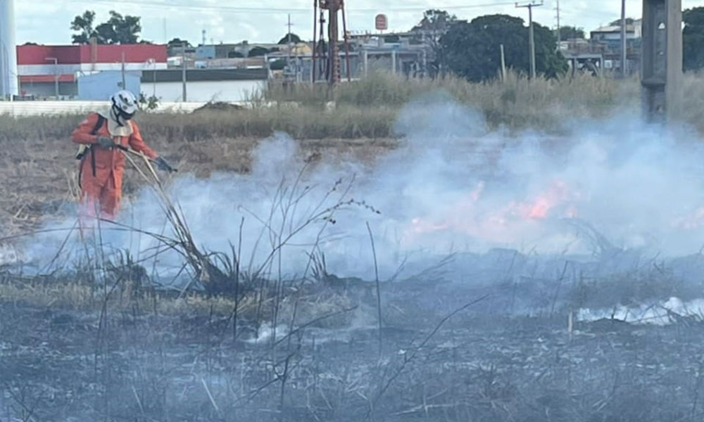 Seis incêndios em vegetação são combatidos por bombeiros em um único dia em Luís Eduardo Magalhães