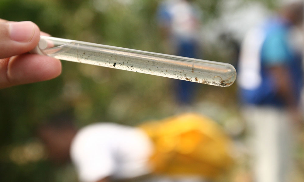 Bahia tem redução de mais ﻿90% nos casos de dengue e Chikungunya