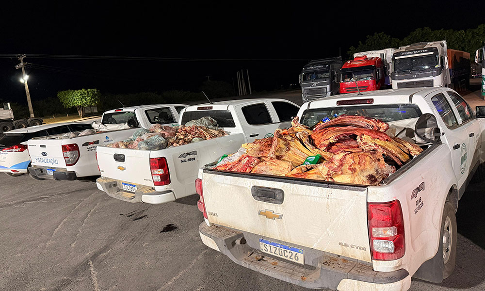 Fiscalização resulta na apreensão de quatro toneladas de produtos de origem animal no oeste da Bahia