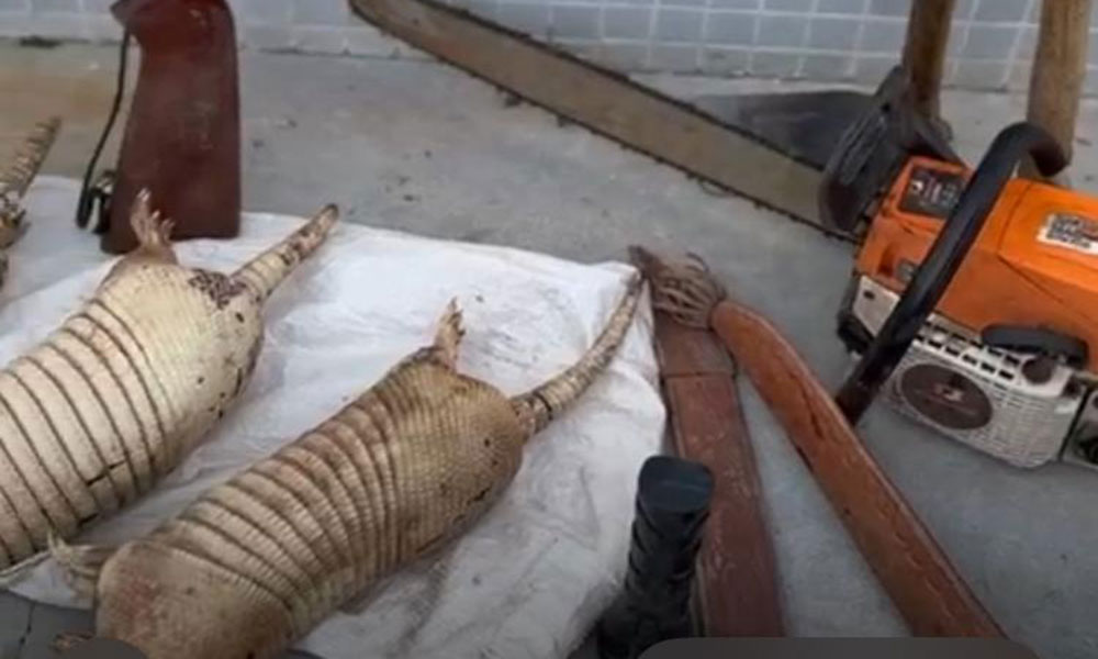 Caçador é preso em flagrante por crime ambiental e posse ilegal de arma em Santa Rita de Cássia