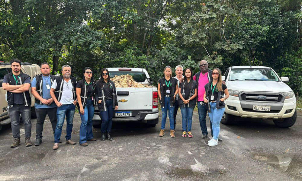 Adab apreende 1,5 tonelada de carne clandestina no Litoral Sul da Bahia