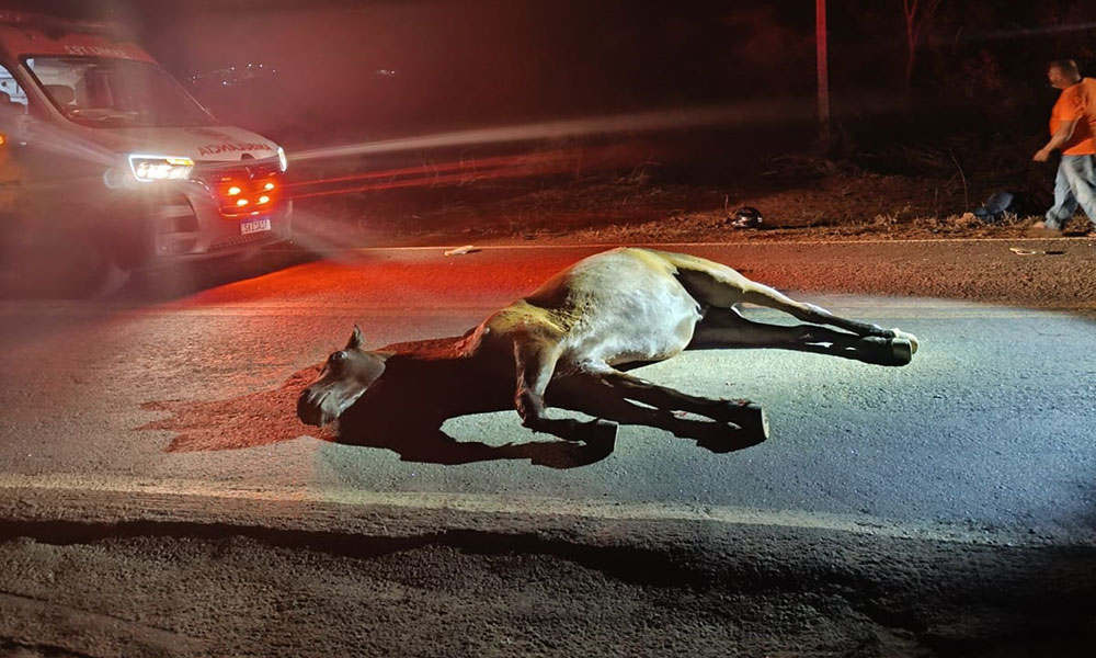 Casal fica ferido após colisão de motocicleta com cavalo na BR-264, em Caetité