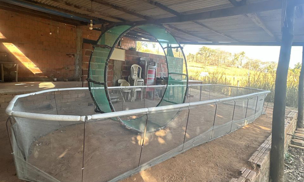 Cippa Lençóis desarticula rinha de galos e apreende arma de fogo em São Desidério