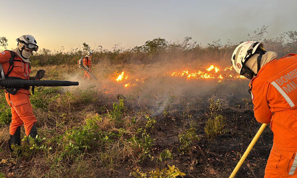 Bombeiros debelaram princípio de incêndio florestal em Barreiras