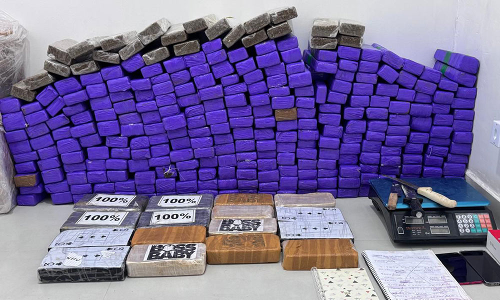 Cerca de 11 toneladas de drogas foram apreendidas no primeiro semestre na Bahia