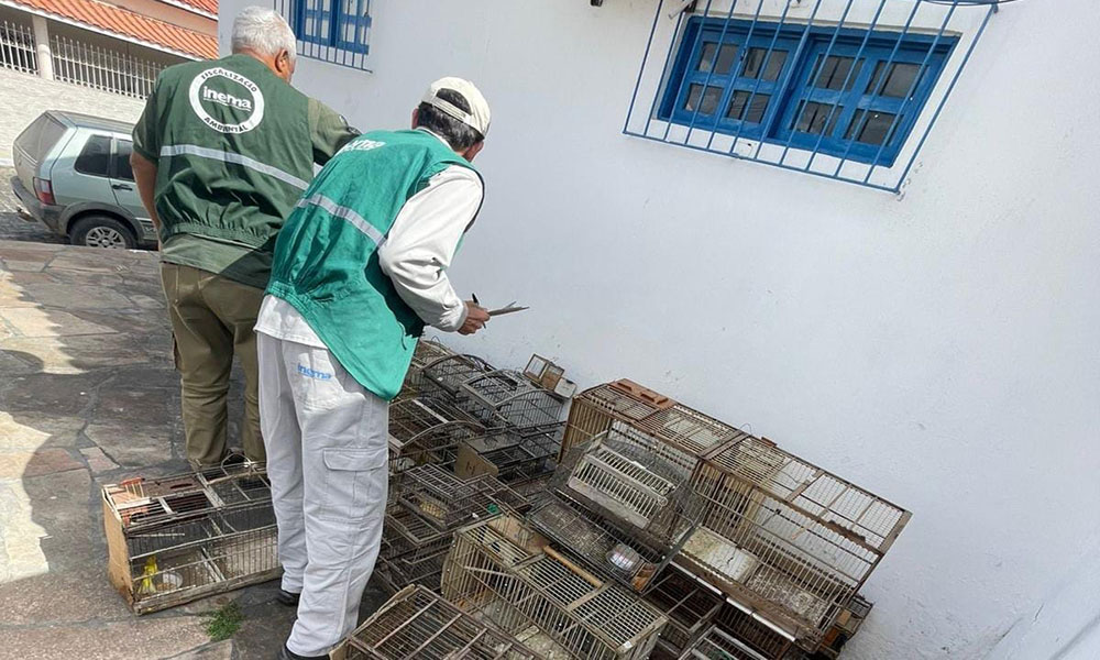 Operação Voo Livre desarticula grupo criminoso de tráfico de animais silvestres na Bahia