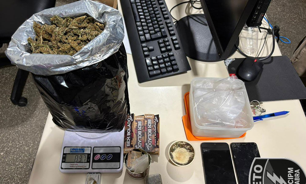 29ª CIPM apreende quase 900 gramas de maconha durante operação em Seabra