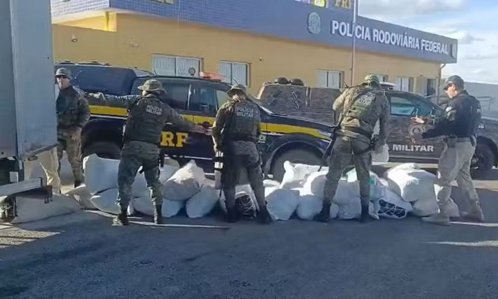 Forças Estaduais e Federais interceptam 781 kg de maconha na Bahia