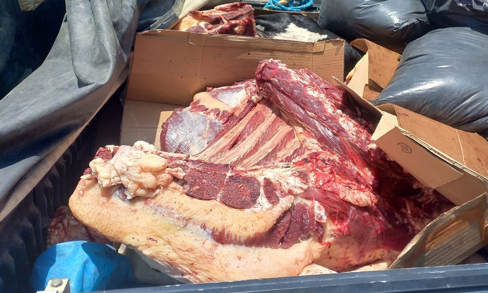 CIPRv apreende 580 kg de carne bovina transportada irregularmente em Vitória da Conquista