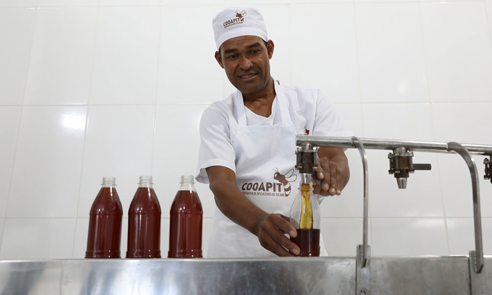 Em Tucano, cooperativa transforma mel em símbolo de renda e sustentabilidade no semiárido baiano