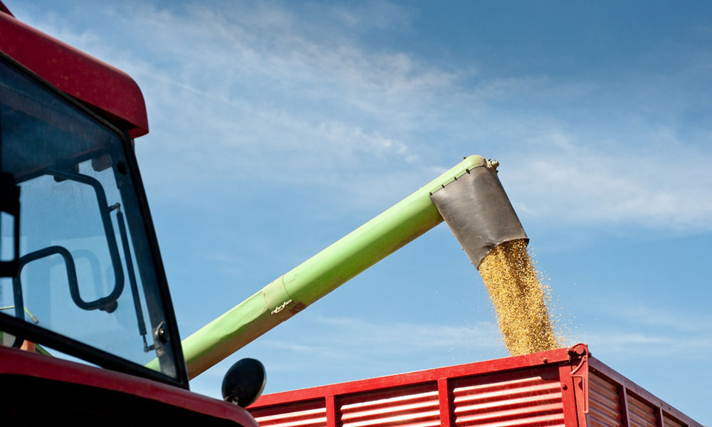 Bahia tem sete cidades entre as 50 maiores produtoras agrícolas do Brasil e se consolida como líder no Nordeste