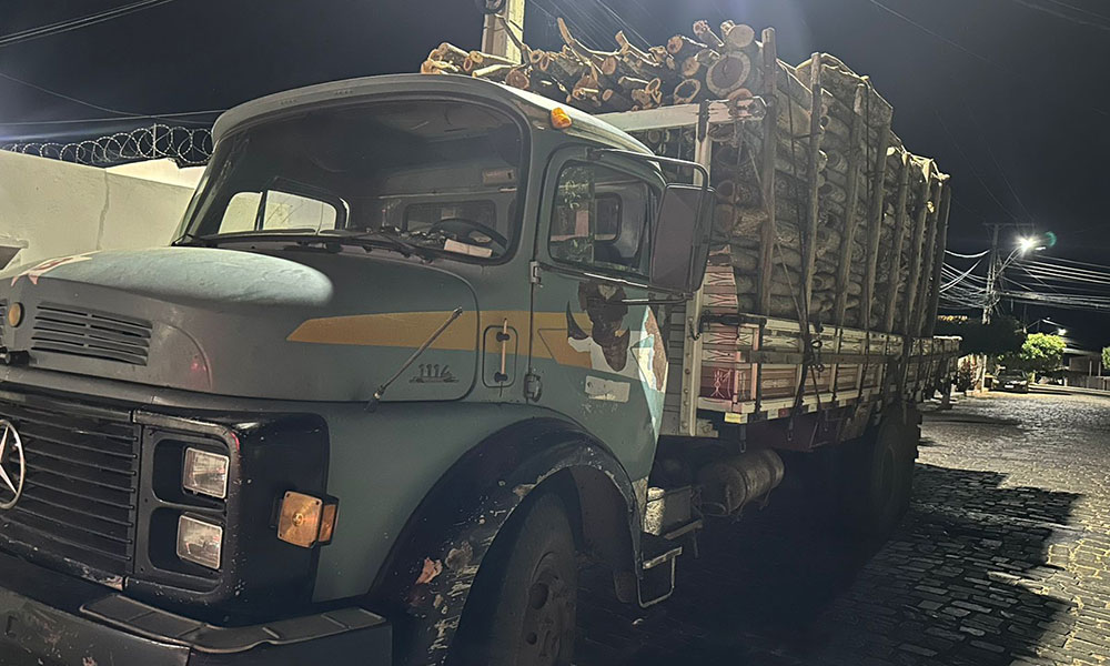 CIPPA Lençóis intercepta caminhão com carga ilegal de madeira no sudoeste da Bahia