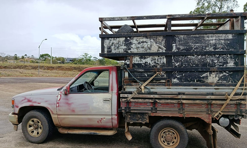 Veículo com transporte irregular de bovinos é apreendido em Vitória da Conquista