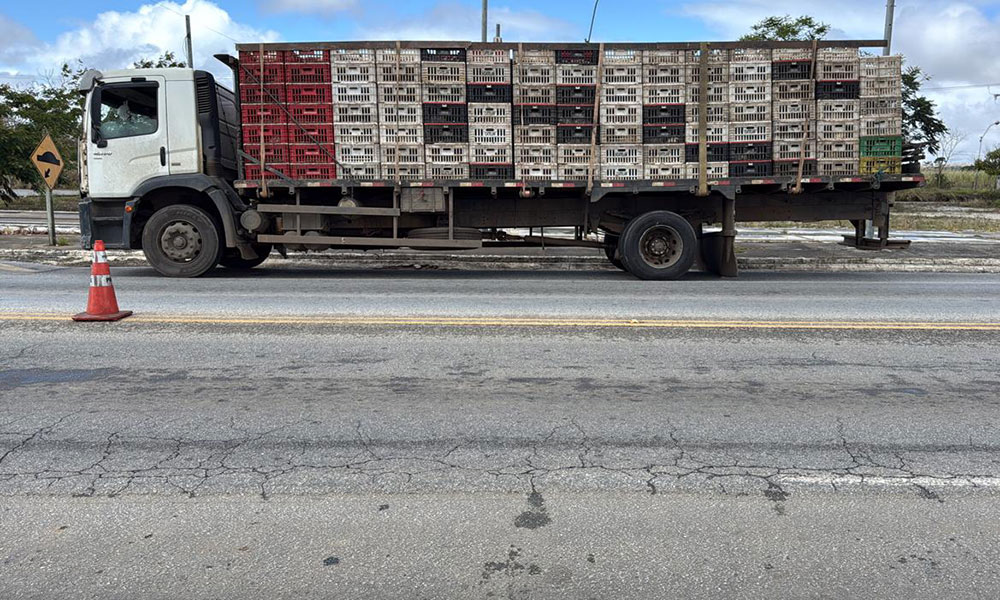 Veículo é apreendido por transporte irregular de frangos em Vitória da Conquista