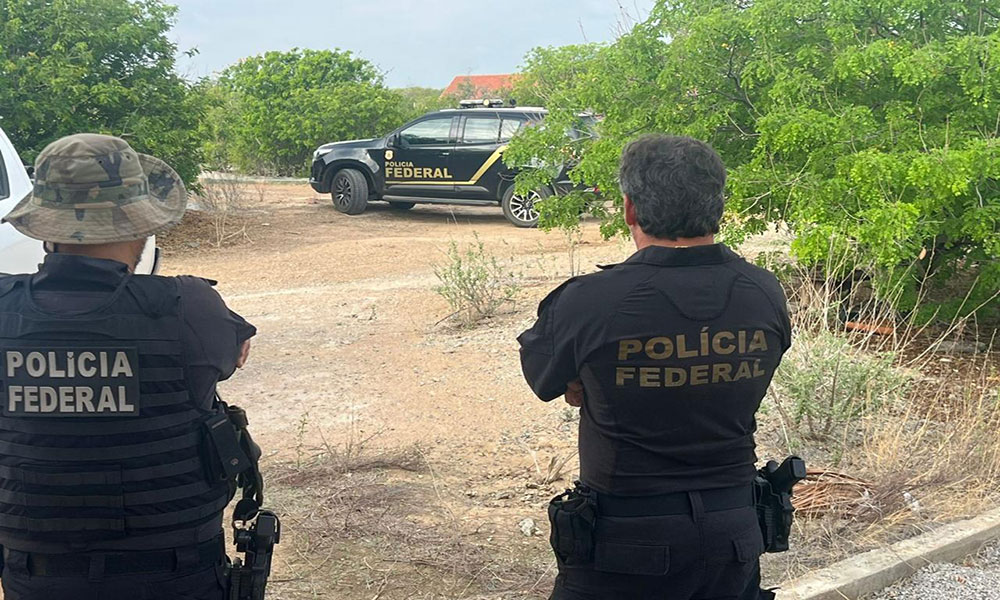 Polícia Federal deflagra operação para apurar disseminação de doença que ameaça a Ararinha-Azul em Curaçá