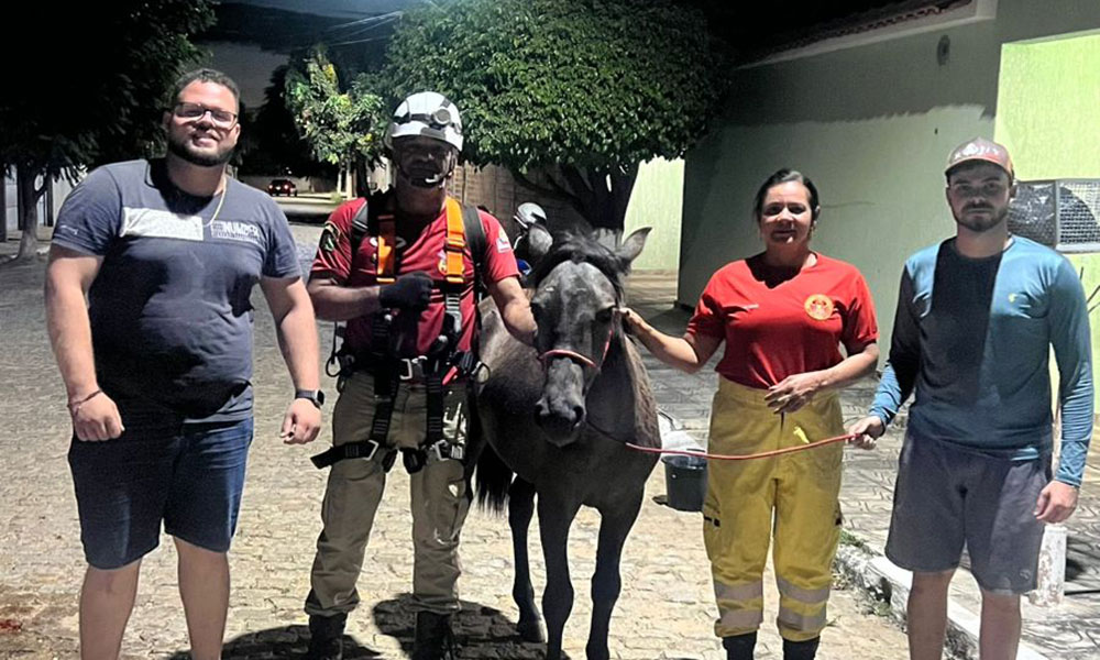 GASA realiza resgate de potro que caiu em poço em Livramento de Nossa Senhora