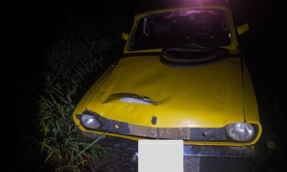 Acidente deixa passageira ferida após atropelamento de animal na BR-122, em Urandi