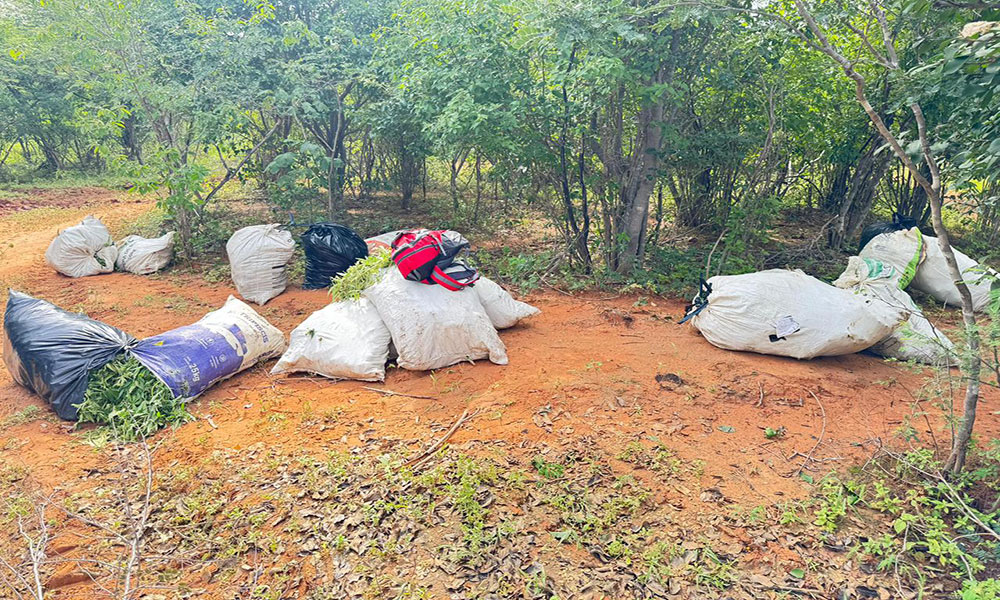 Operação integrada frustra resgate de droga, resulta em 10 presos e três mortos na zona rural de Brotas de Macaúbas