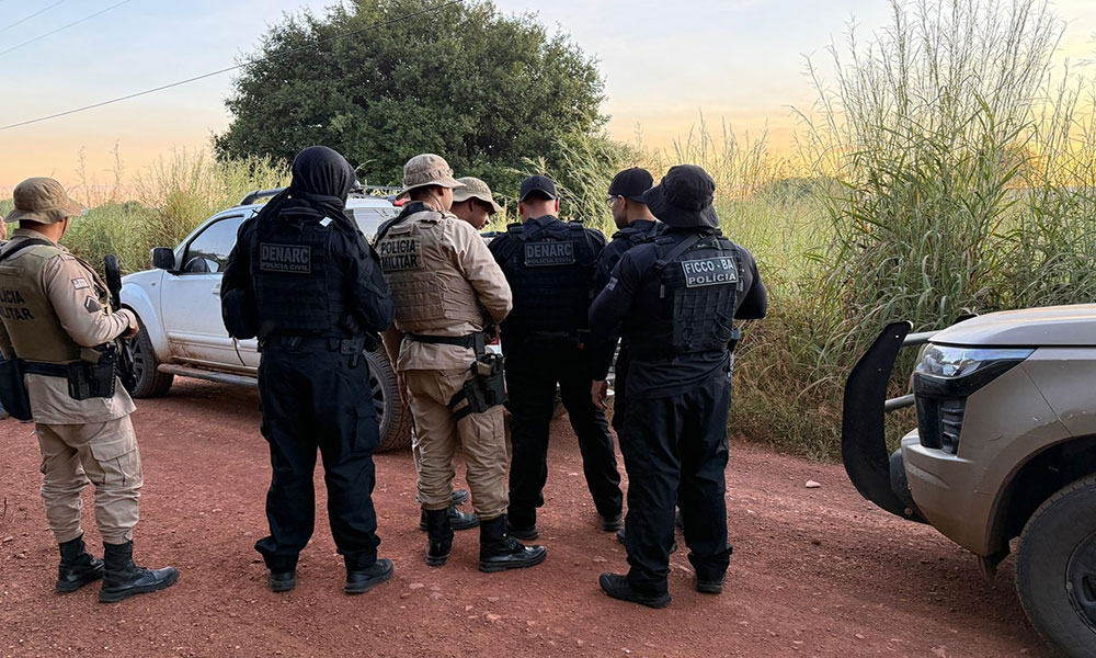 Operação Nexos 2 localiza roça com 50 mil pés de maconha no oeste da Bahia
