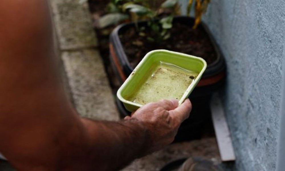 Bahia registra queda de 41% nos casos de dengue em 2026, mas seis municípios seguem em epidemia