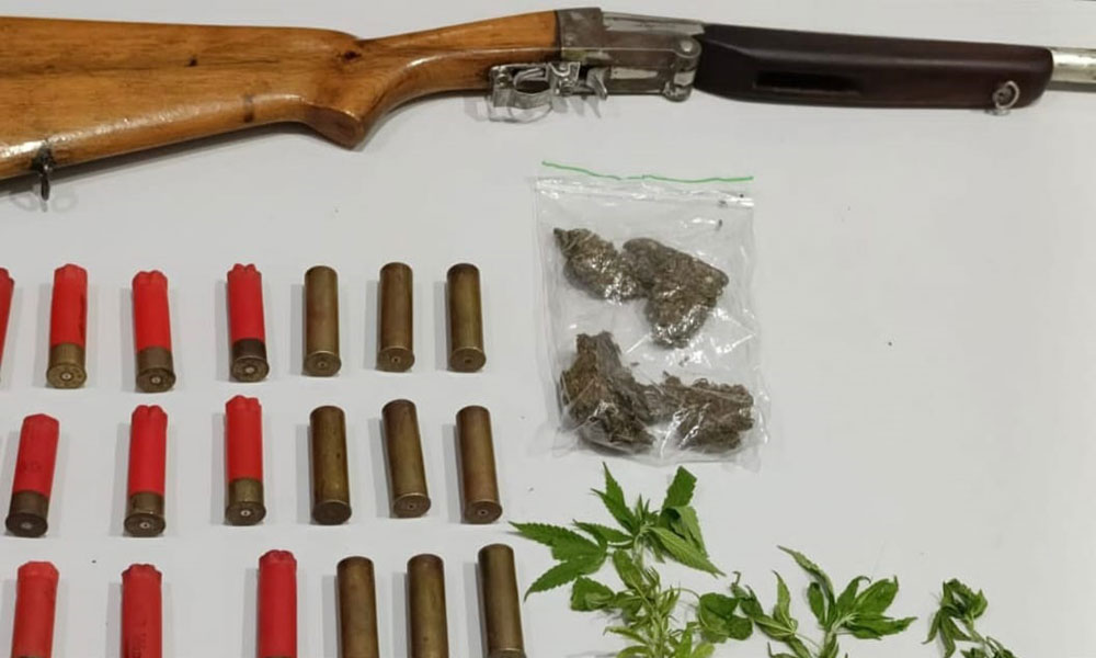 Operação conjunta da Polícia Civil e CIPE Sudoeste resulta em apreensão de arma e pés de maconha em Botuporã