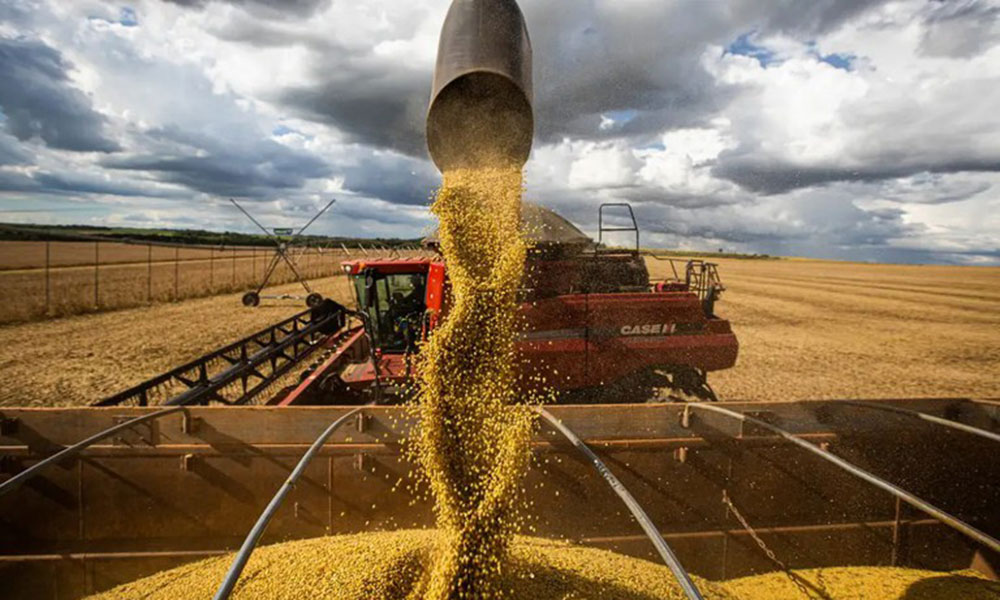 Bahia amplia área produtiva e produtividade e chega a 13,88 milhões de toneladas de grãos na safra 24/25