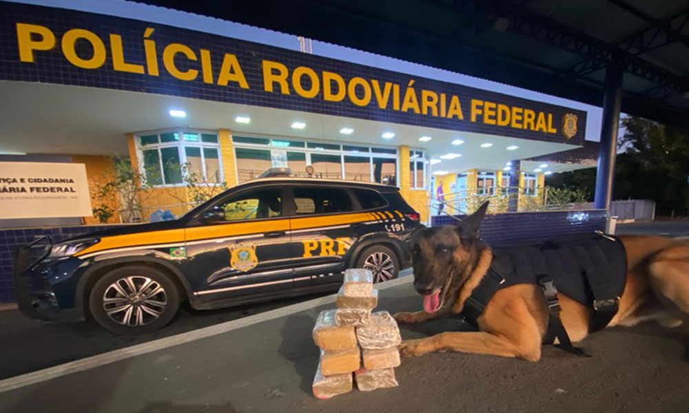 Com auxílio de cão farejador, PRF apreende 4 Kg de maconha em Vitória da Conquista