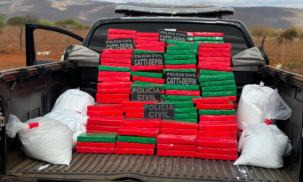 Polícia Civil realiza no norte da Bahia a maior apreensão de cocaína do ano