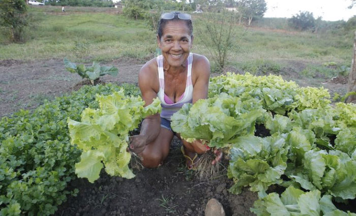 Novo lote de pagamento do Garantia-Safra é disponibilizado para agricultores familiares baianos