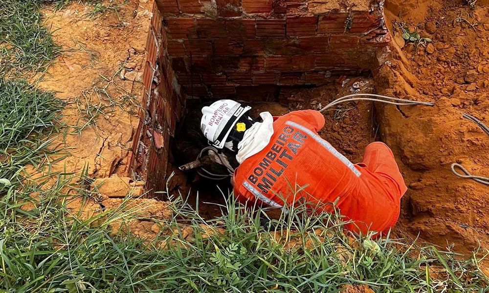 Bombeiros resgatam dois bois de cisterna em Bom Jesus da Lapa