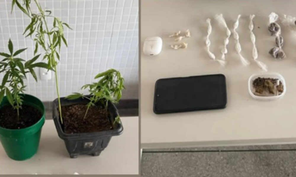 PM prende suspeito por tráfico de drogas durante operação em Ribeirão do Largo