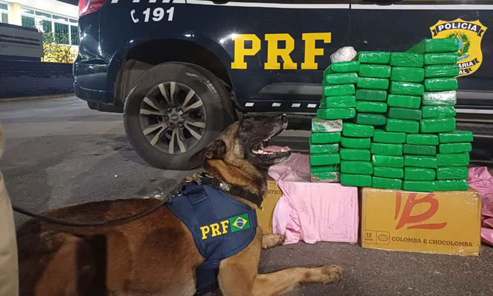 PRF apreende cerca de 50 kg de maconha em Vitória da Conquista