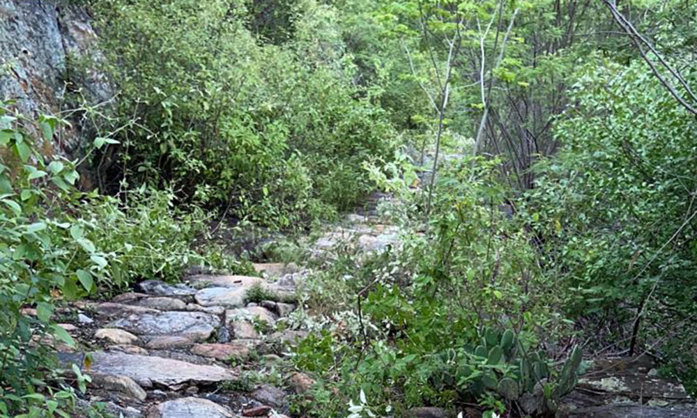 Brigadistas realizam limpeza na Estrada Real, entre Livramento de Nossa Senhora e Rio de Contas