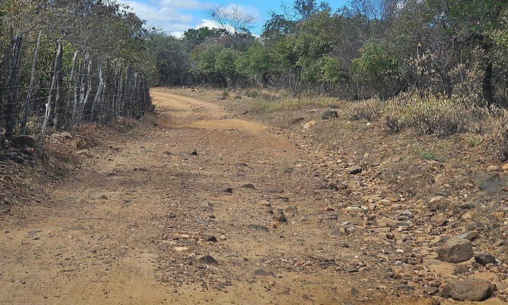 Moradores da zona rural de Dom Basílio reclamam de estradas deterioradas e aguardam recuperação
