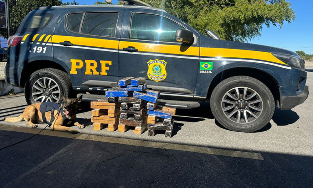 Mulher é presa ao ser flagrada transportando 67 kg de maconha na BR-116, em Vitória da Conquista