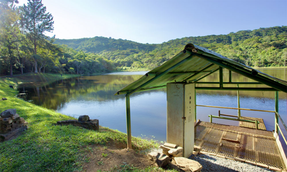 Fazenda localizada no norte da Bahia recebe certificação do Inema para reintrodução de animais silvestres