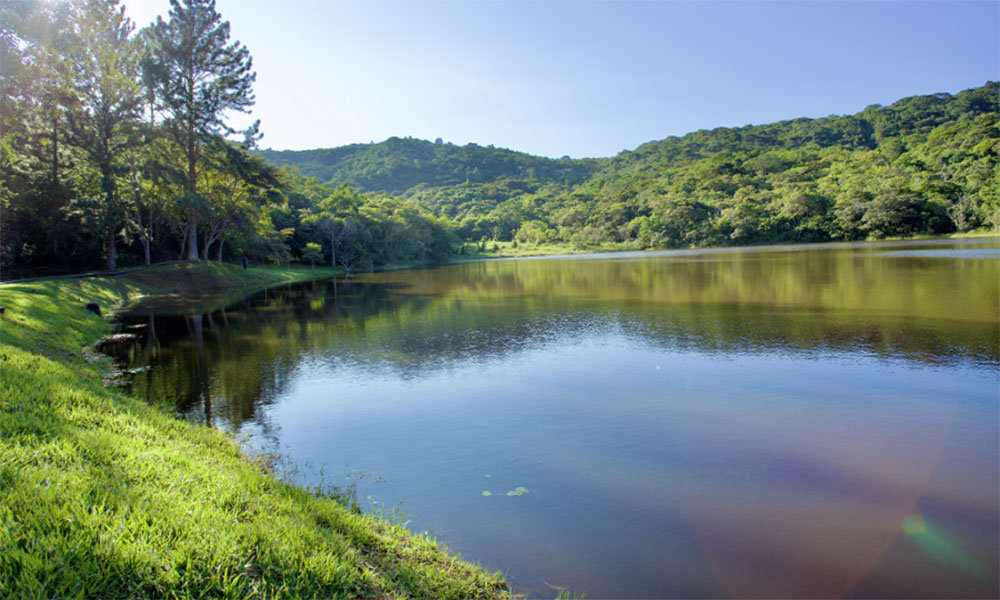 Fazenda localizada no norte da Bahia recebe certificação do Inema para reintrodução de animais silvestres
