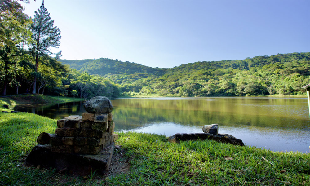 Fazenda localizada no norte da Bahia recebe certificação do Inema para reintrodução de animais silvestres