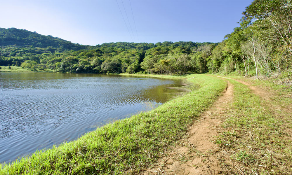 Fazenda localizada no norte da Bahia recebe certificação do Inema para reintrodução de animais silvestres