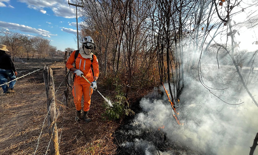 Bombeiros extinguem incêndios florestais em Barreiras, Sobradinho, Campo Formoso, Bom Jesus da Lapa e Correntina