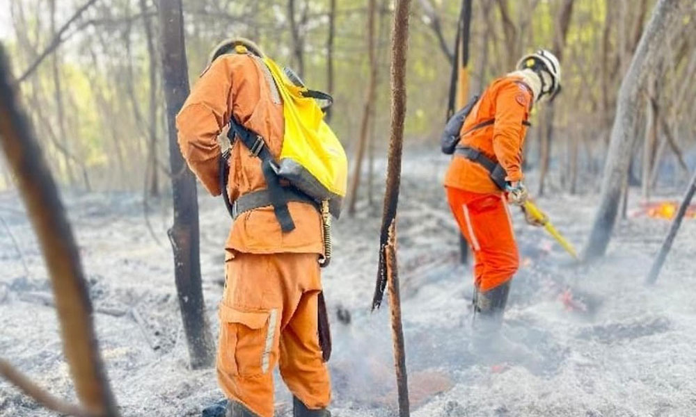 Bombeiros extinguem incêndios florestais em Barreiras e São Desidério