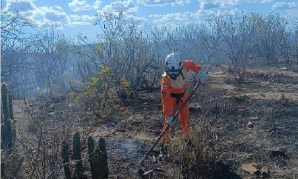 Bombeiros extinguem incêndios florestais em Curaçá e Campo Formoso