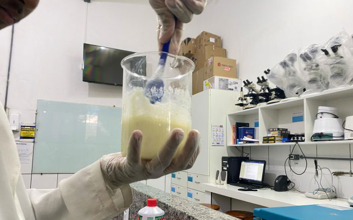 Estudantes do Sul da Bahia desenvolvem sabonete que acelera cicatrização