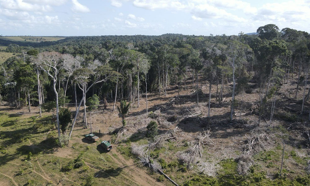 Operação Mata Atlântica em Pé 2024 detecta mais de 500 hectares de áreas desmatadas na Bahia