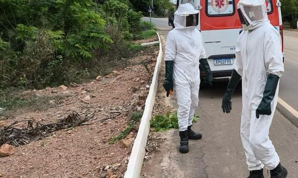 Idoso é resgatado por bombeiros após ataque de abelhas em Barreiras